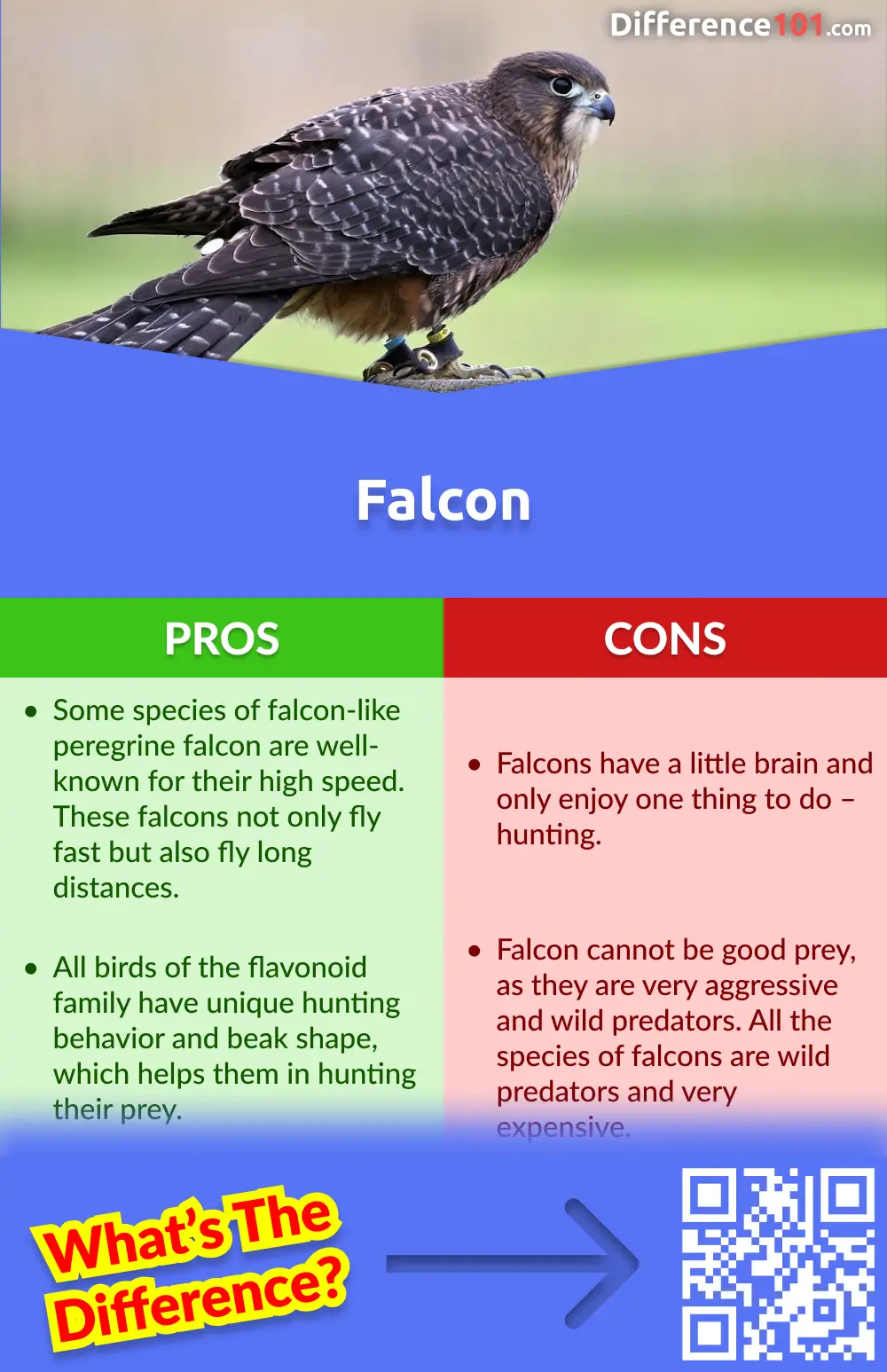 Falcon Pros and Cons