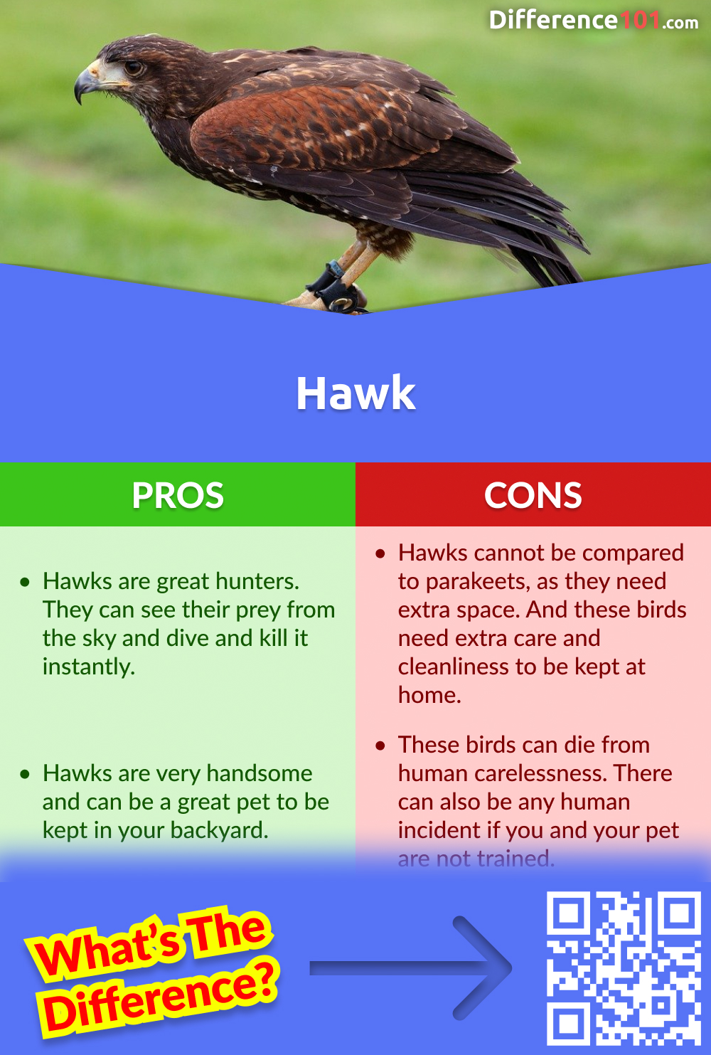 Hawk Pros and Cons