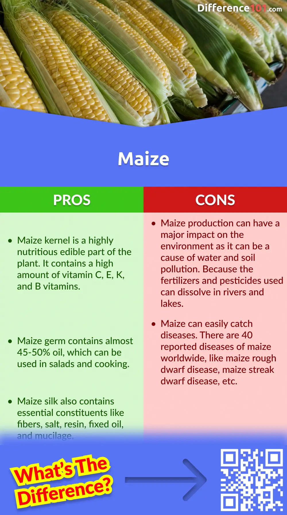 Maize Pros and Cons