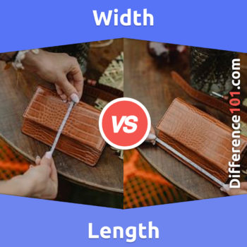 Width vs. Length: 6 Key Differences, Pros & Cons, Similarities