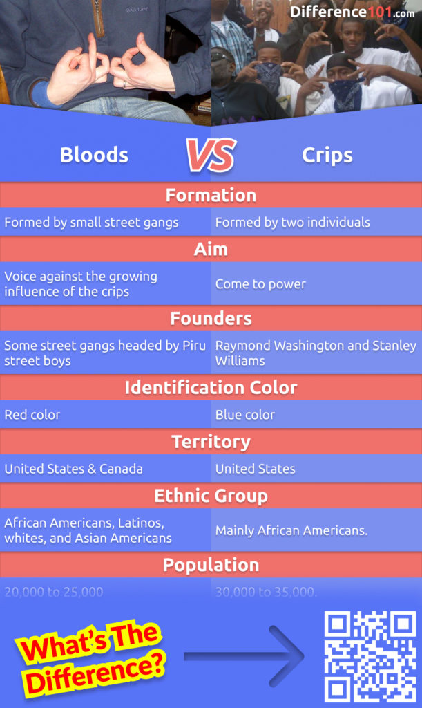 This article looks at the history of the Crips and the Bloods, including information on the origins of the two gangs and the differences between the two. Read more here