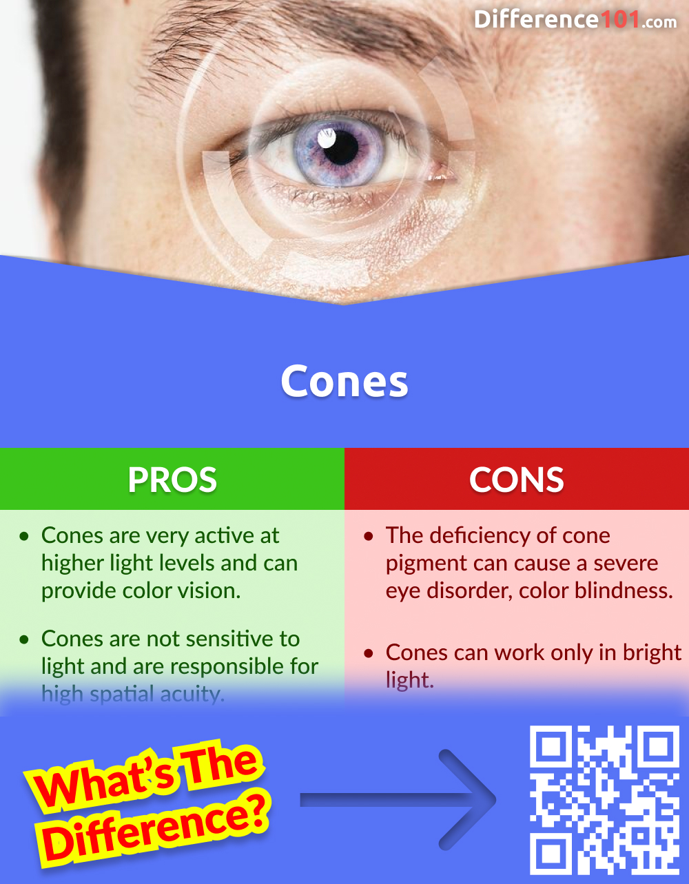 Pros and Cons of Cones
