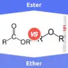 Ether vs. Ester: 9 Key Differences, Definition, Examples