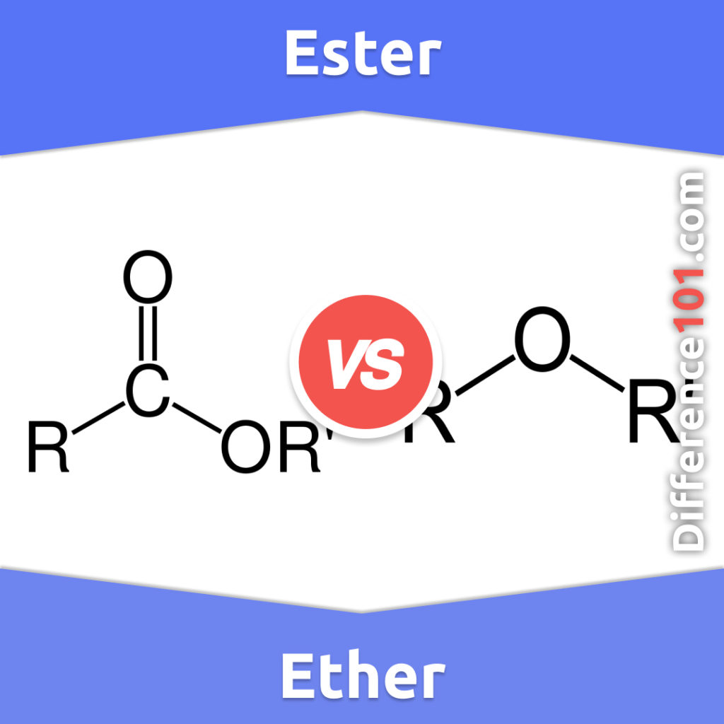 Ether vs. Ester 9 Key Differences, Definition, Examples Difference 101
