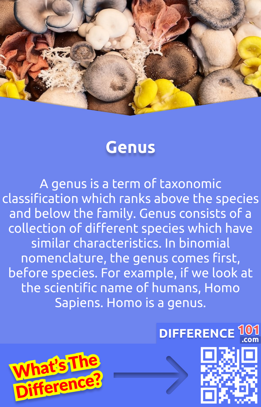 What Is Genus? A genus is a term of taxonomic classification which ranks above the species and below the family. Genus consists of a collection of different species which have similar characteristics. In binomial nomenclature, the genus comes first, before species. For example, if we look at the scientific name of humans, Homo Sapiens. Homo is a genus.