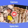 Genus vs. Species: 7 Key Differences, Pros & Cons, Examples