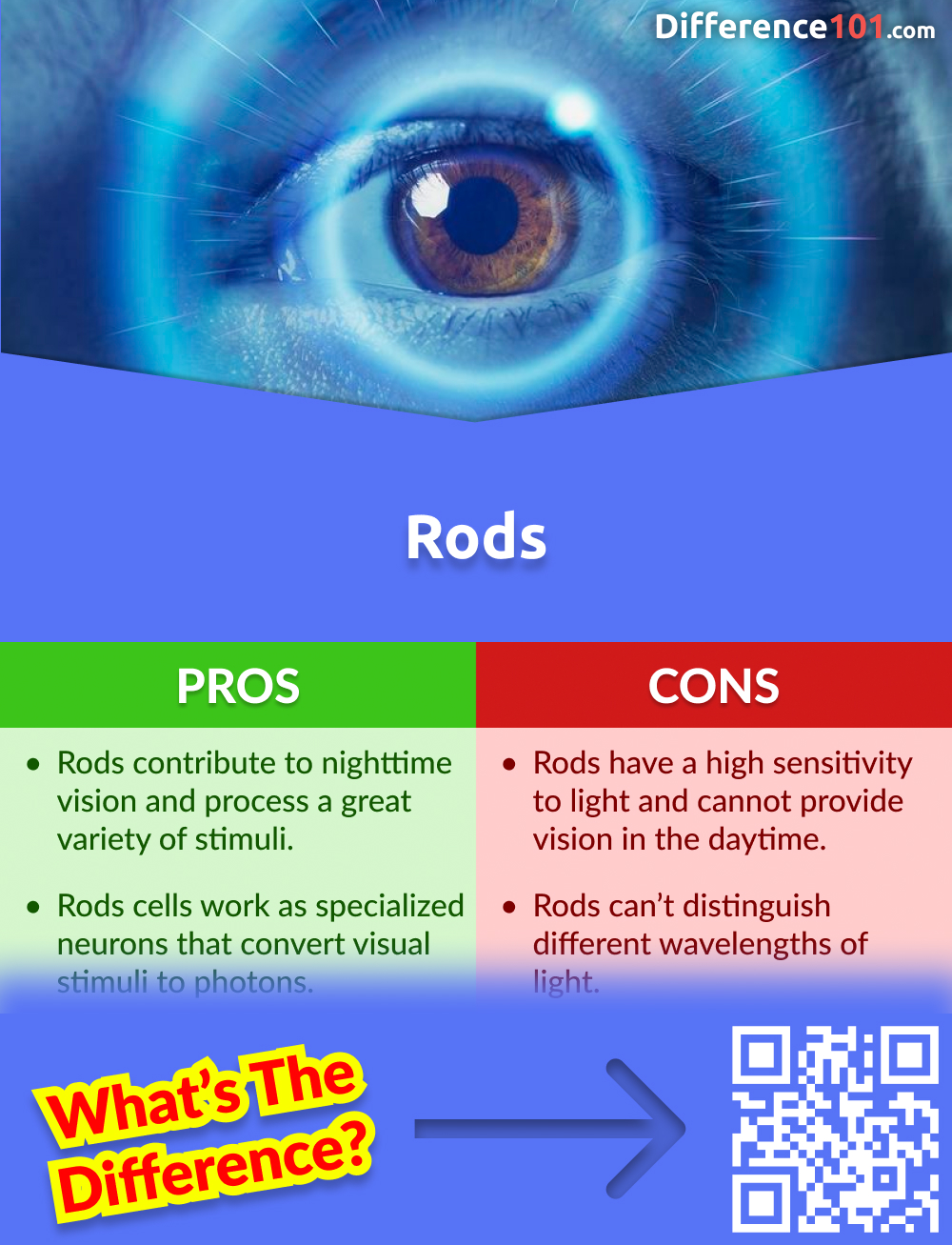Pros and Cons of Rods