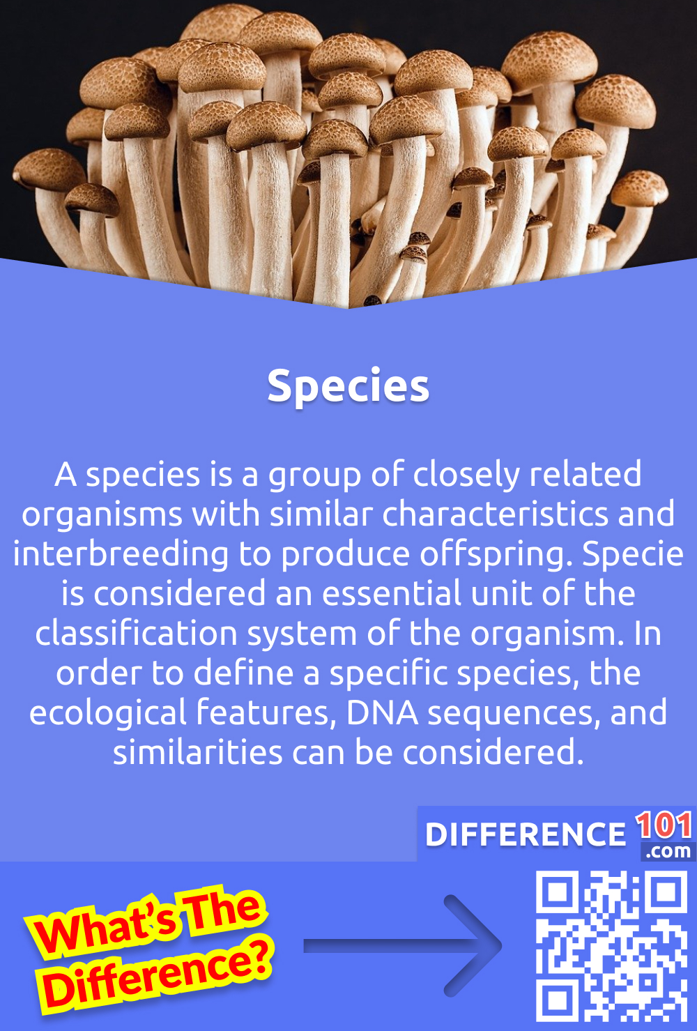What Is Species? A species is a group of closely related organisms with similar characteristics and interbreeding to produce offspring. Specie is considered an essential unit of the classification system of the organism. In order to define a specific species, the ecological features, DNA sequences, and similarities can be considered.
