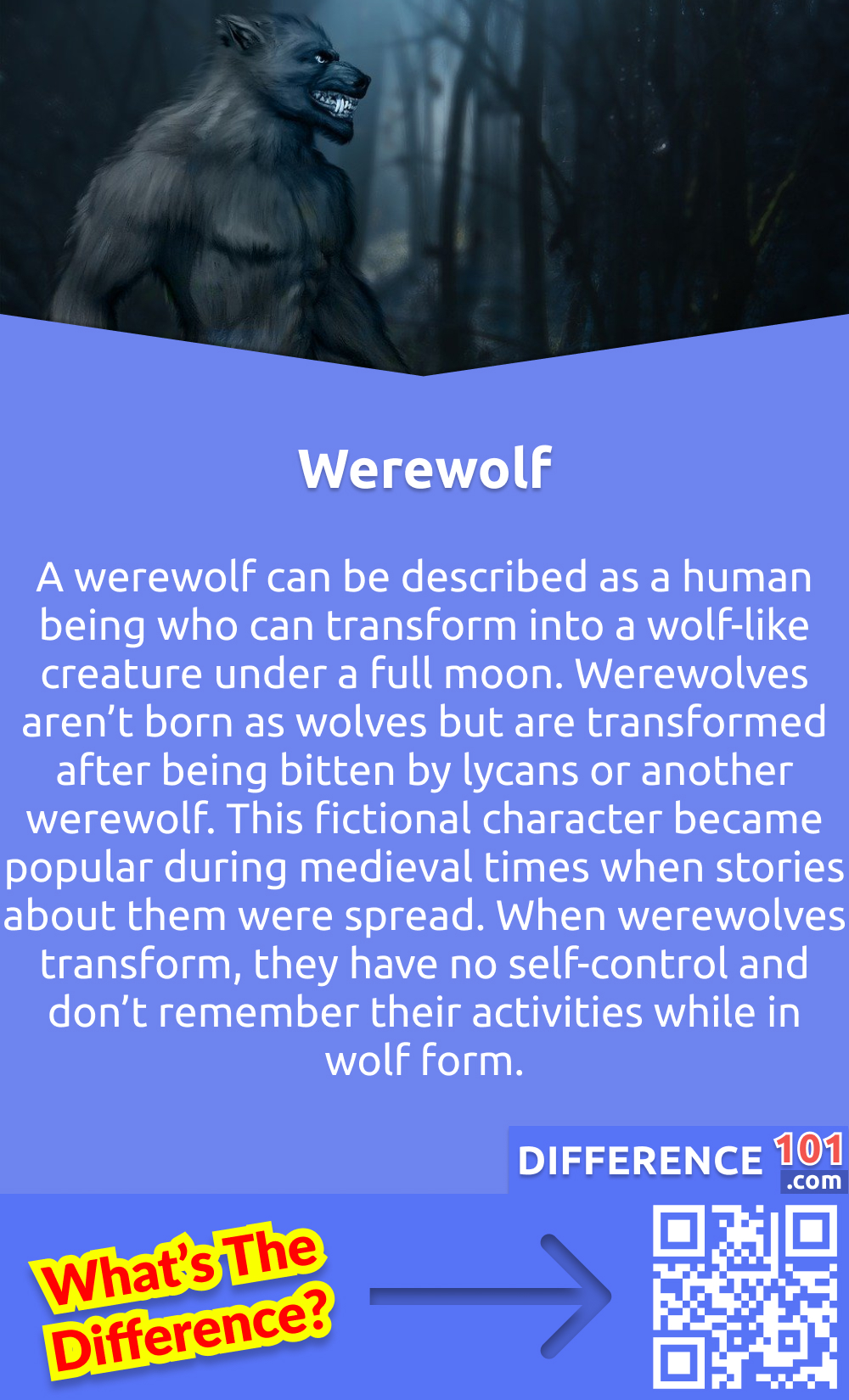 What Is a Werewolf? A werewolf can be described as a human being who can transform into a wolf-like creature under a full moon. Werewolves aren’t born as wolves but are transformed after being bitten by lycans or another werewolf. This fictional character became popular during medieval times when stories about them were spread. When werewolves transform, they have no self-control and don’t remember their activities while in wolf form.