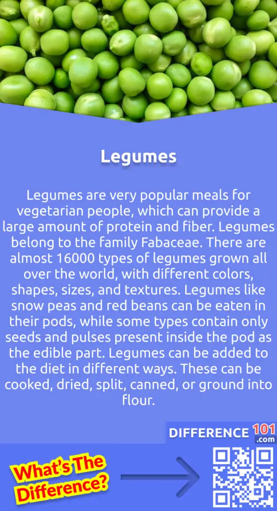 What Are Legumes? Legumes are very popular meals for vegetarian people, which can provide a large amount of protein and fiber. Legumes belong to the family Fabaceae. There are almost 16000 types of legumes grown all over the world, with different colors, shapes, sizes, and textures. Most types of legumes are easily available in supermarkets or food stores. Legumes are often eaten with grains to get enough of amino acids required by the human body. Legumes like snow peas and red beans can be eaten in their pods, while some types contain only seeds and pulses present inside the pod as the edible part. Legumes can be added to the diet in different ways. These can be cooked, dried, split, canned, or ground into flour.