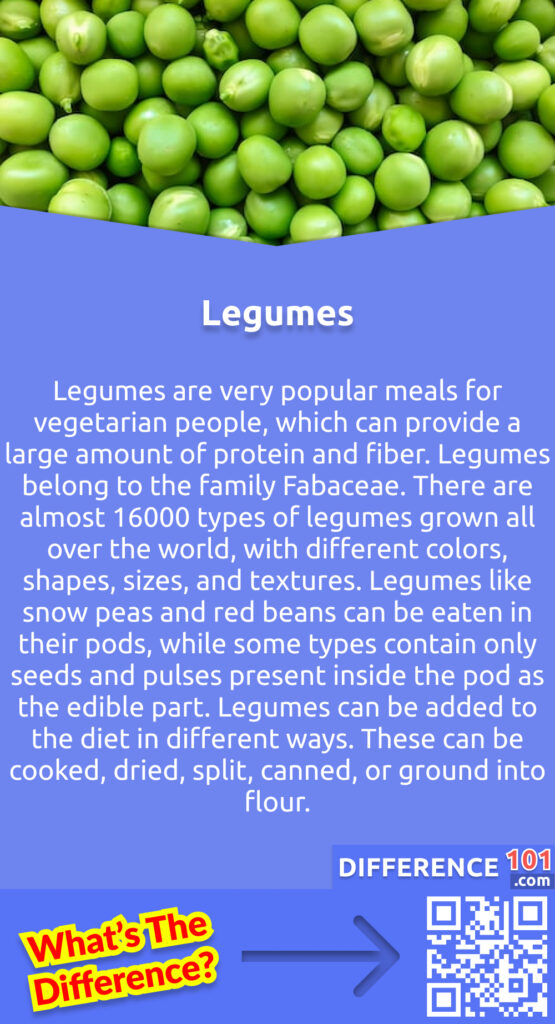 What Are Legumes? Legumes are very popular meals for vegetarian people, which can provide a large amount of protein and fiber. Legumes belong to the family Fabaceae. There are almost 16000 types of legumes grown all over the world, with different colors, shapes, sizes, and textures. Most types of legumes are easily available in supermarkets or food stores. Legumes are often eaten with grains to get enough of amino acids required by the human body. Legumes like snow peas and red beans can be eaten in their pods, while some types contain only seeds and pulses present inside the pod as the edible part. Legumes can be added to the diet in different ways. These can be cooked, dried, split, canned, or ground into flour.