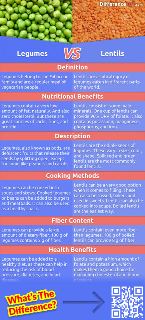 What's the difference between legumes and lentils? Both are nutritious and have their own pros and cons. Read on to learn more about the difference between legumes and lentils, as well as some examples of each.