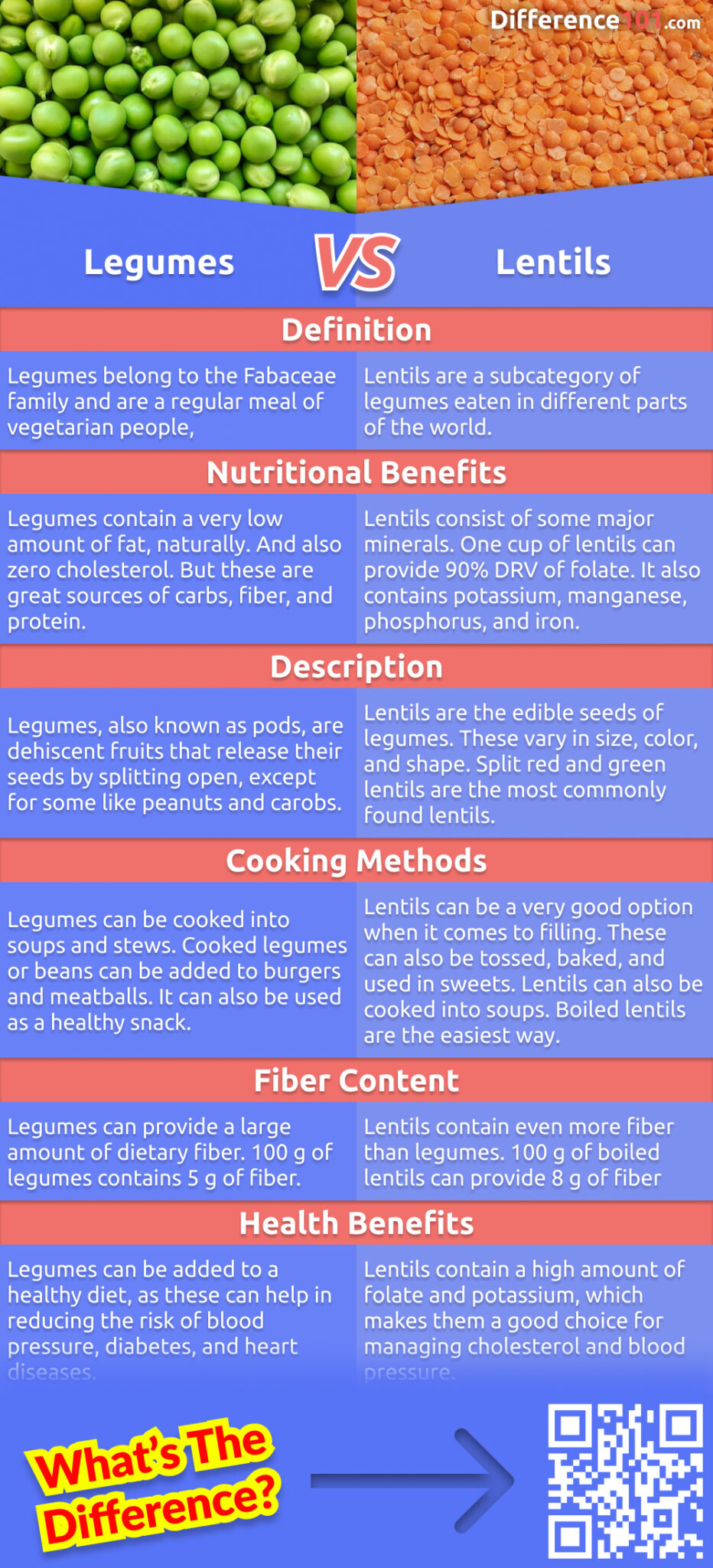 Legumes vs lentils 6 key differences pros cons examples