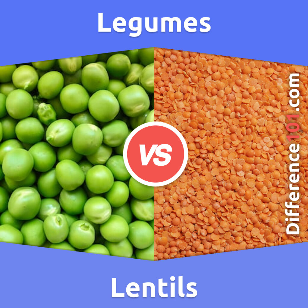 Legumes Vs Lentils 6 Key Differences Pros Cons Examples services-and-prices-brighton-skin-surgery
