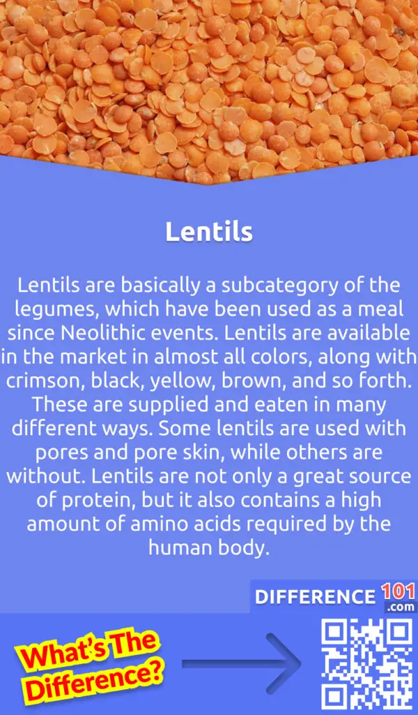 What Are Lentils? Lentils are basically a subcategory of the legumes, which have been used as a meal since Neolithic events. Lentils are available in the market in almost all colors, along with crimson, black, yellow, brown, and so forth. These are supplied and eaten in many different ways. Some lentils are used with pores and pore skin, while others are without. Lentils do not require to be soaked in the water for a long time before cooking like beans, so they consume less time in preparation. Lentils are not only a great source of protein, but it also contains a high amount of amino acids required by the human body. But it is important to add lentils as a side meal with other healthy options to obtain all the nutrition from your diet.
