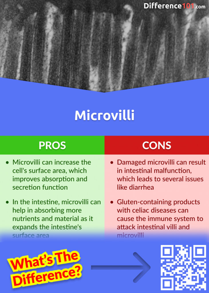 Microvilli Pros and Cons