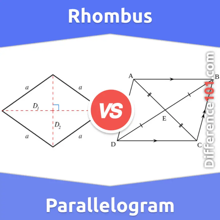 Rhombus Vs Parallelogram 6 Key Differences Pros And Cons Similarities Difference 101 