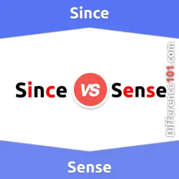 Since vs. Sense: 7 Key Differences, Pros & Cons, Examples