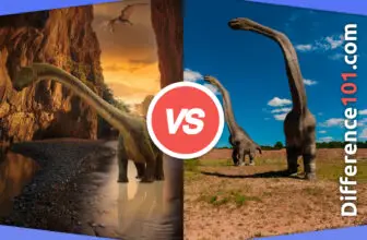 Brontosaurus vs. Brachiosaurus: 6 Key Differences, Pros & Cons, Similarities