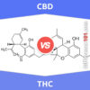 CBD vs. THC: 6 Key Differences, Pros & Cons, Examples