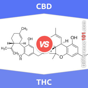 What Are THC Edibles?