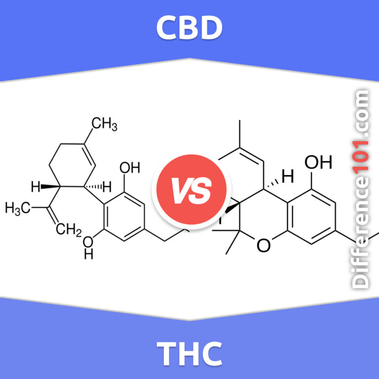 Cbd Vs Thc 6 Key Differences Pros And Cons Examples Difference 101