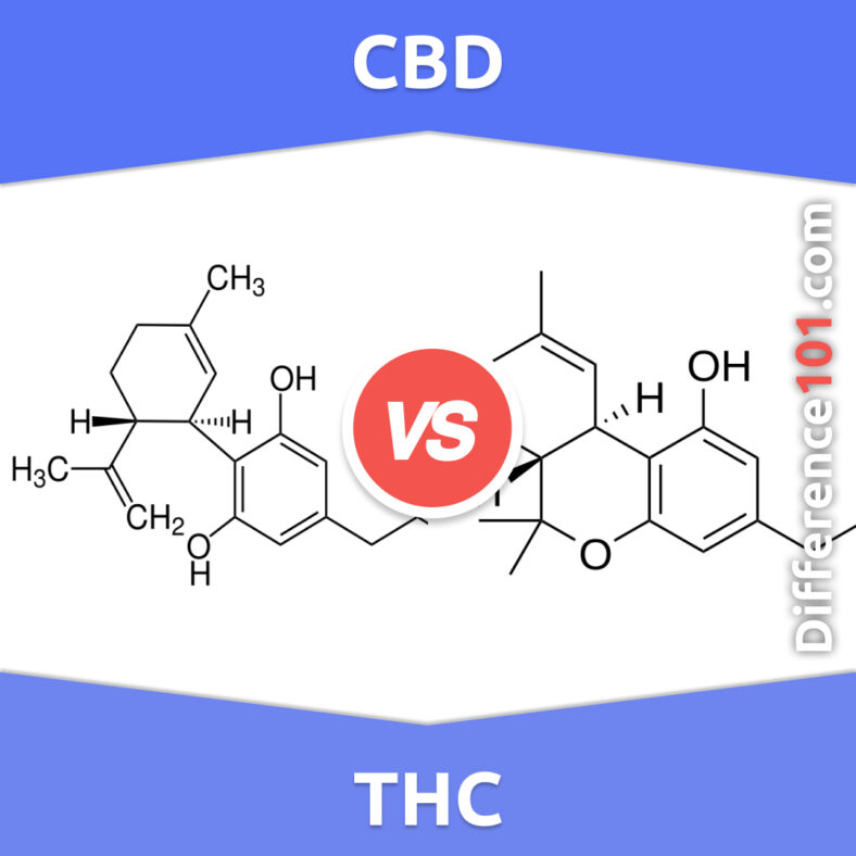 CBD Vs. THC: 6 Key Differences, Pros & Cons, Examples | Difference 101