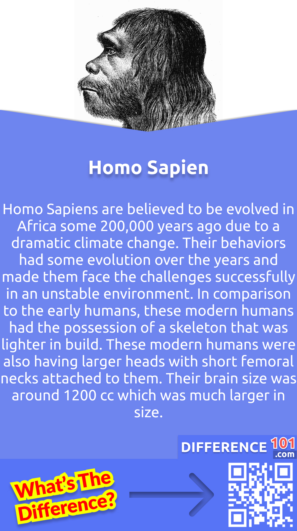 Who is Homo Sapien? Homo Sapiens are believed to be evolved in Africa some 200,000 years ago due to a dramatic climate change. Their behaviors had some evolution over the years and made them face the challenges successfully in an unstable environment. In comparison to the early humans, these modern humans had the possession of a skeleton that was lighter in build. These modern humans were also having larger heads with short femoral necks attached to them. Their brain size was around 1200 cc which was much larger in size. 