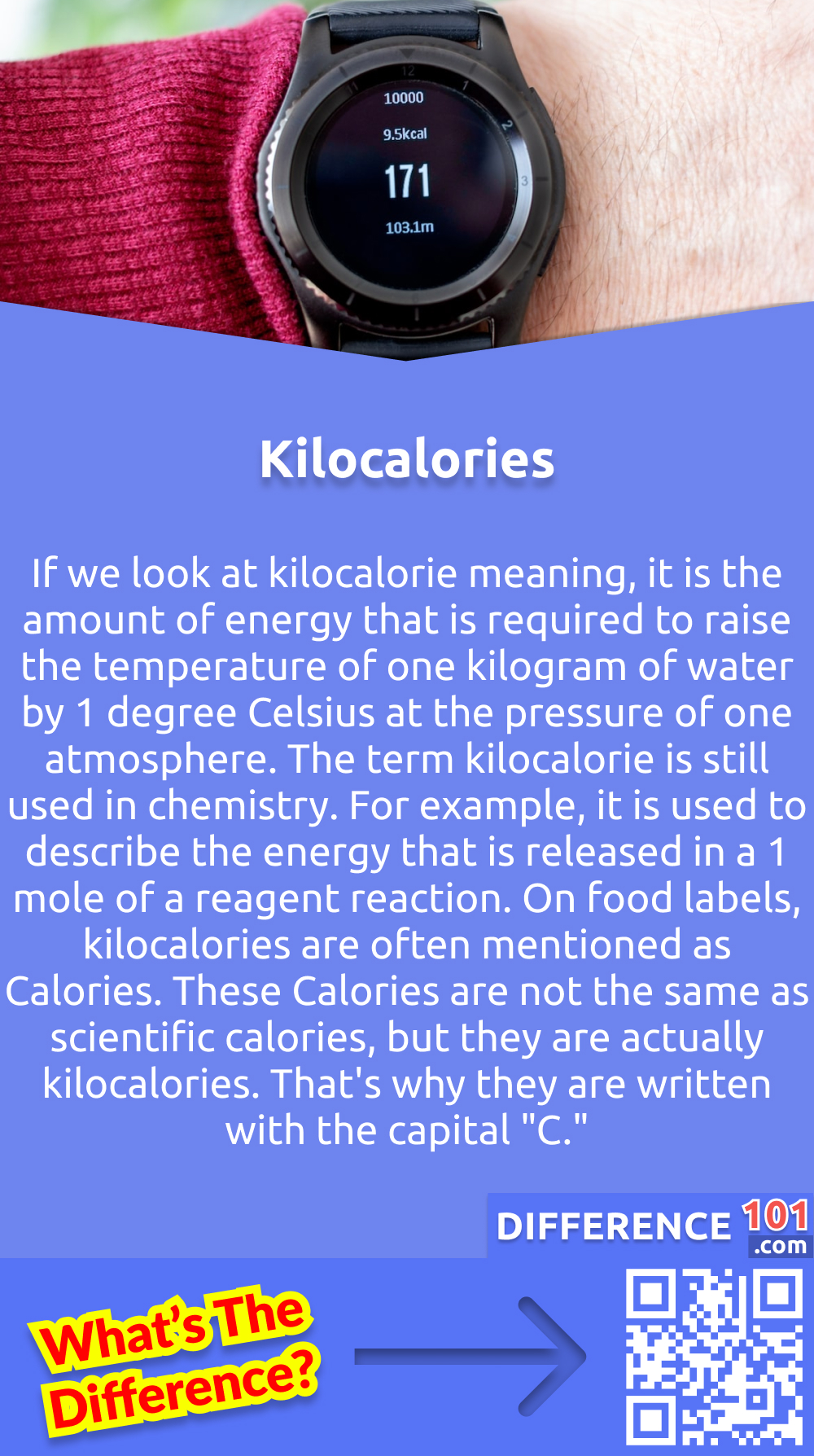 Kilocalories Vs Calories 6 Key Differences Pros Cons Similarities 