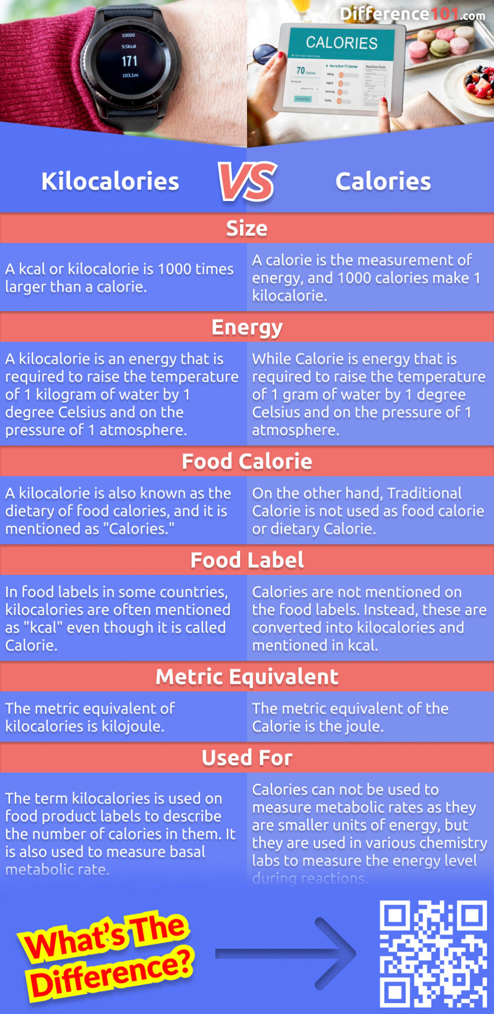 Kilocalories Vs Calories Comparison Chart English US 