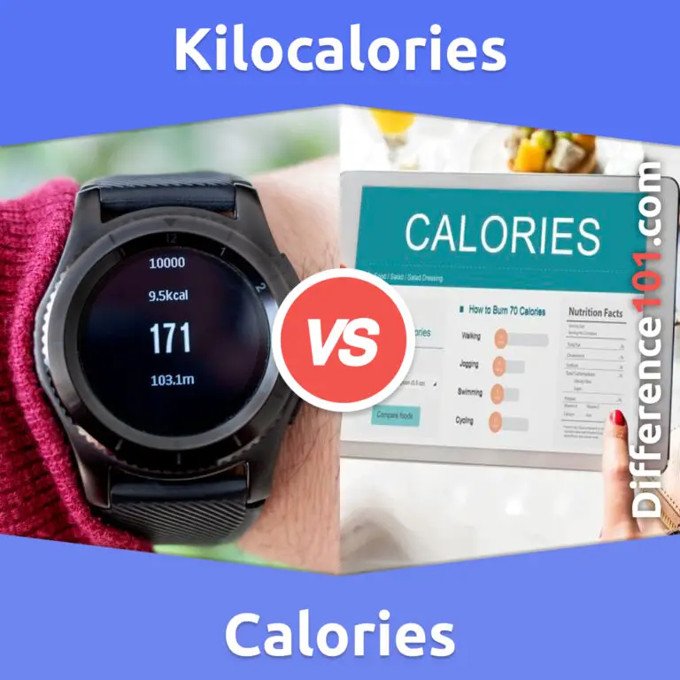 Kilocalories Vs Calories 6 Key Differences Pros Cons Similarities   Kilocalories Vs Calories Square Image English US 768x768 