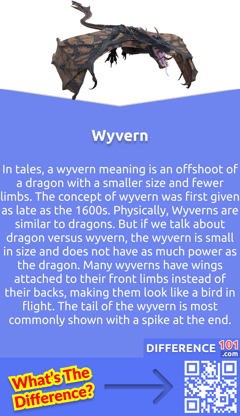 What is Wyvern? In tales, a wyvern meaning is an offshoot of a dragon with a smaller size and fewer limbs. The concept of wyvern was first given as late as the 1600s. Physically, Wyverns are similar to dragons. But if we talk about dragon versus wyvern, the wyvern is small in size and does not have as much power as the dragon. Many wyverns have wings attached to their front limbs instead of their backs, making them look like a bird in flight. Wyverns are typically portrayed as primal beasts rather than sapient creatures. They don’t know any skills and use only magic in their defense. The tail of the wyvern is most commonly shown with a spike at the end.