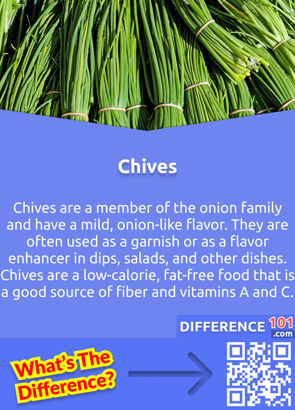What Is Chives? Chives are a member of the onion family and have a mild, onion-like flavor. They are often used as a garnish or as a flavor enhancer in dips, salads, and other dishes. Chives are a low-calorie, fat-free food that is a good source of fiber and vitamins A and C.
