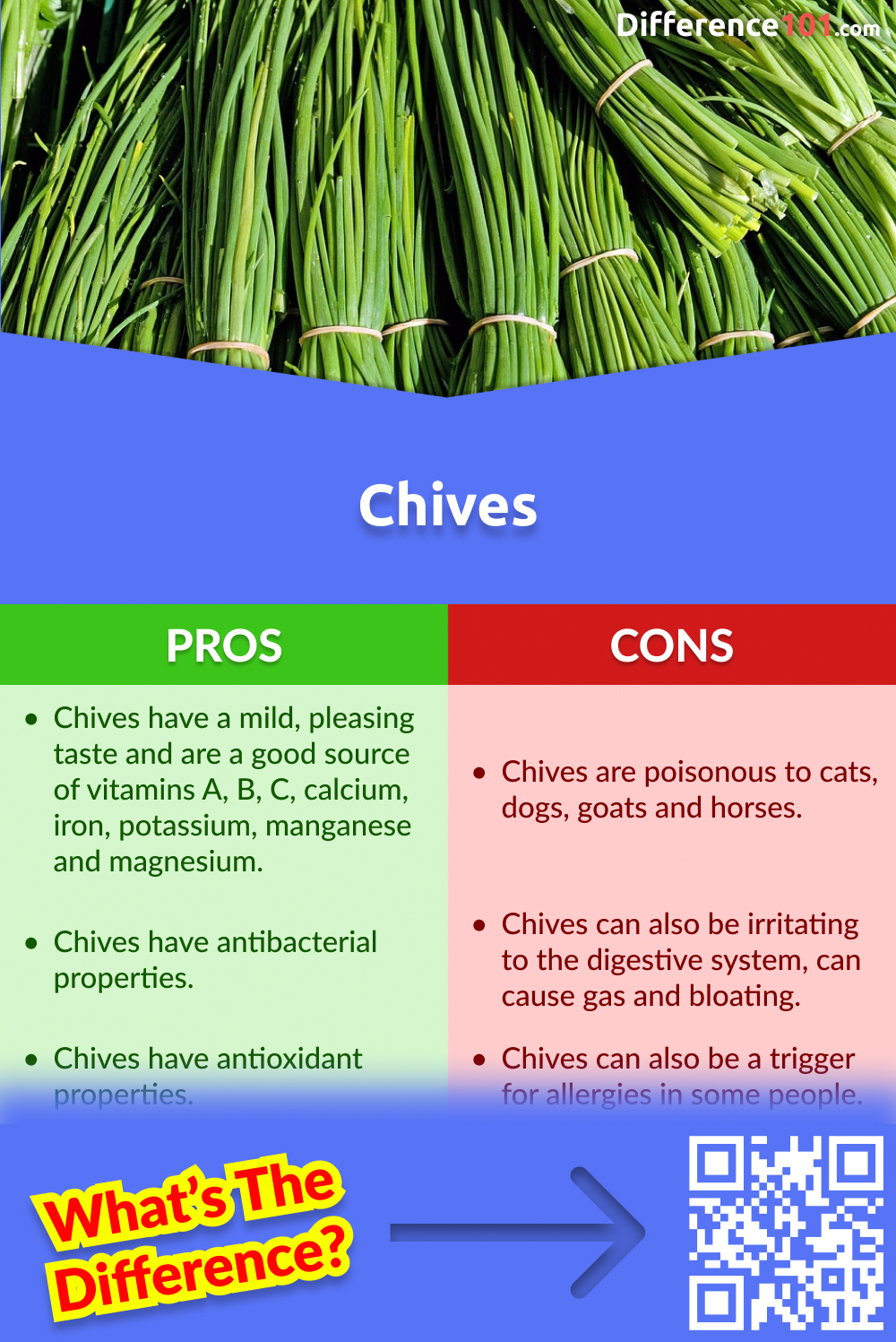 Chives Pros & Cons