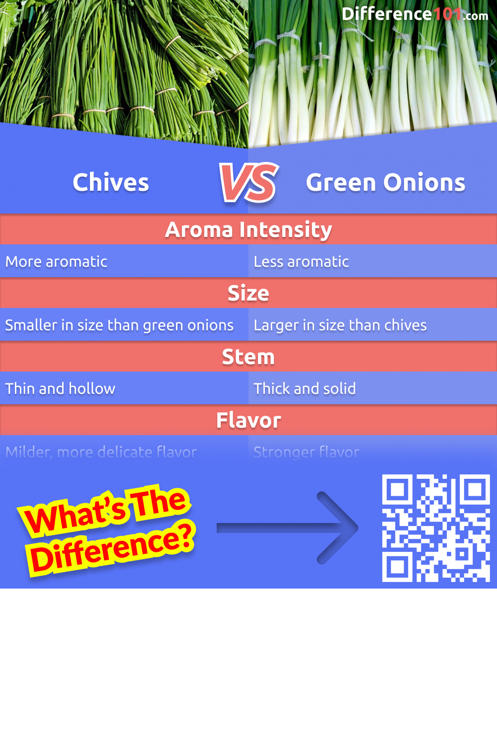 Chives and green onions are both often used as garnishes or as flavorings in many dishes, but what's the difference between them? Read on to learn more about the pros and cons of each and their key differences. 