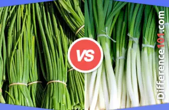 Chives vs. Green Onions: Key Differences, Pros & Cons, Similarities