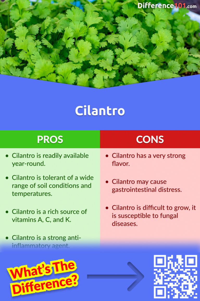 Parsley vs. Cilantro Key Differences, Pros & Cons, Similarities Difference 101