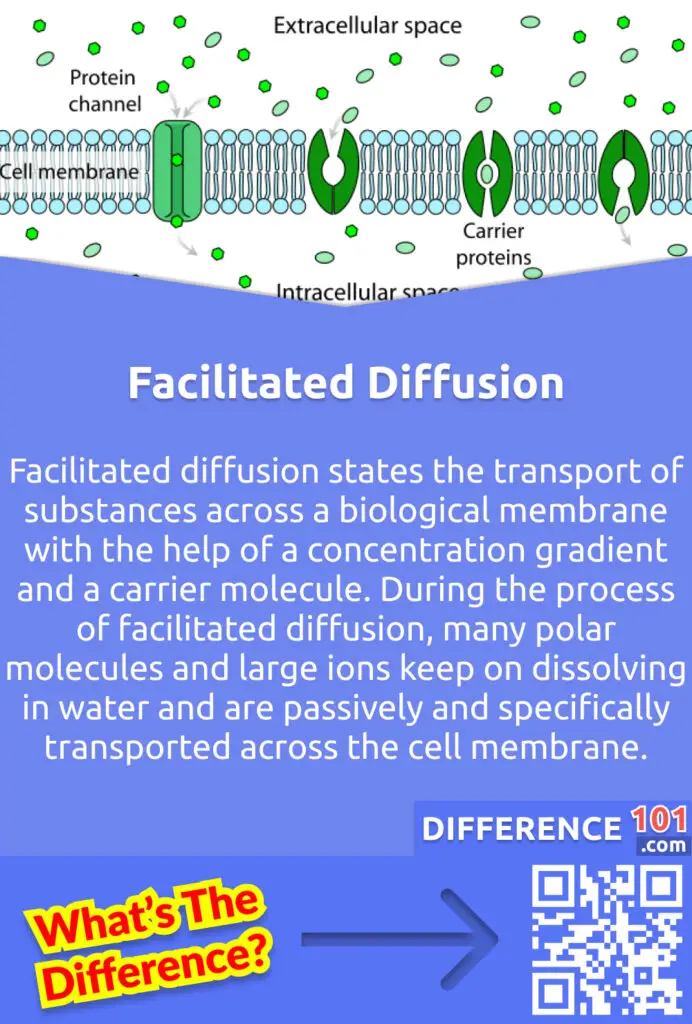 What Is Facilitated Diffusion? Facilitated diffusion states the transport of substances across a biological membrane with the help of a concentration gradient and a carrier molecule. During the process of facilitated diffusion, many polar molecules and large ions keep on dissolving in water and are passively and specifically transported across the cell membrane.