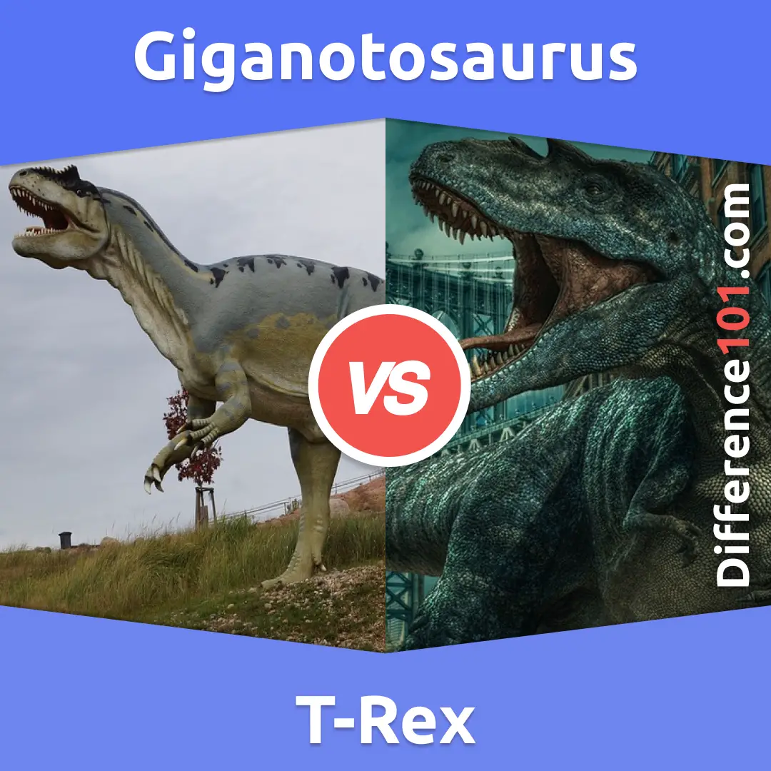 Giganotosaurus Vs. T-Rex: Key Differences, Pros & Cons, Similarities |  Difference 101