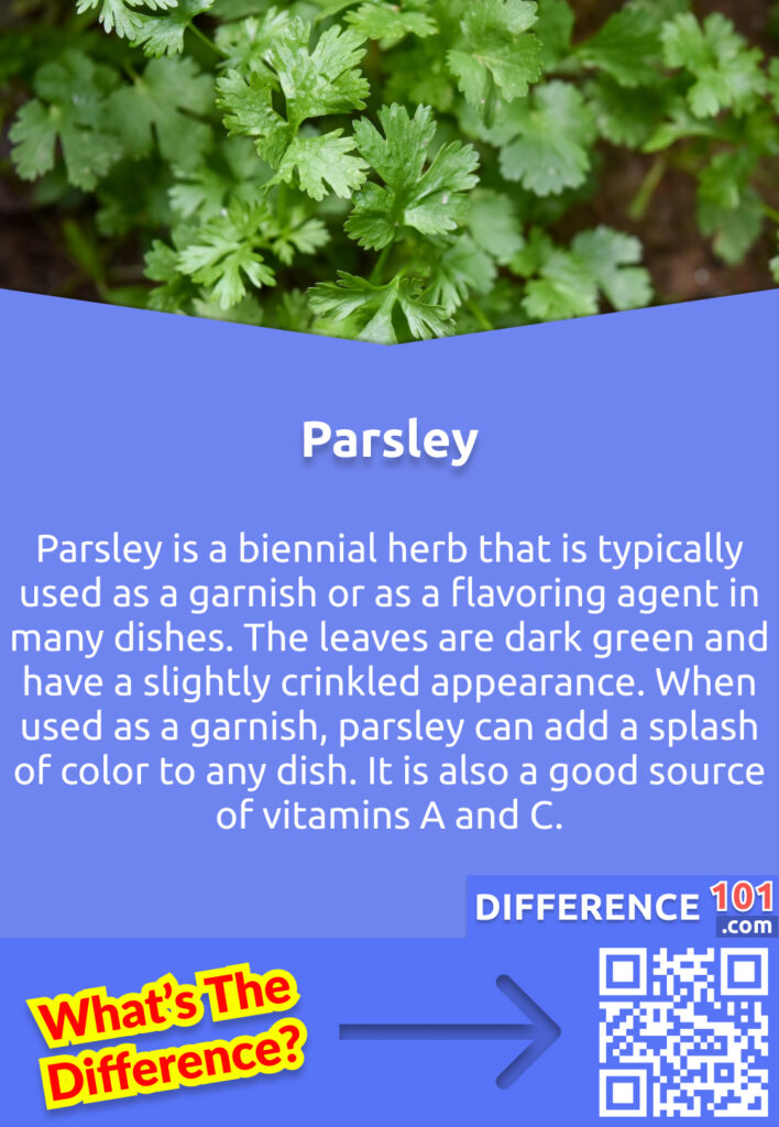 What Is Parsley?
Parsley is a biennial herb that is typically used as a garnish or as a flavoring agent in many dishes. The leaves are dark green and have a slightly crinkled appearance. When used as a garnish, parsley can add a splash of color to any dish. It is also a good source of vitamins A and C.