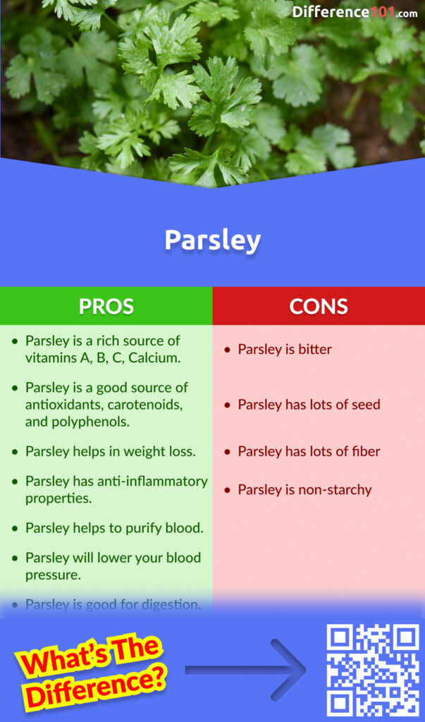 Parsley Pros & Cons