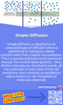 Simple Diffusion Vs Facilitated Diffusion Key Differences Examples