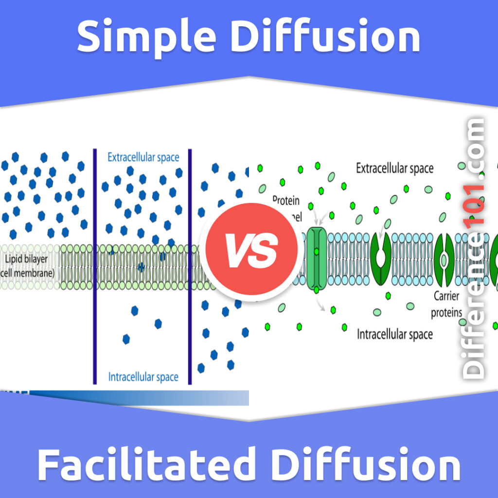 diff-rence-entre-une-diffusion-simple-et-une-diffusion-facilit-e