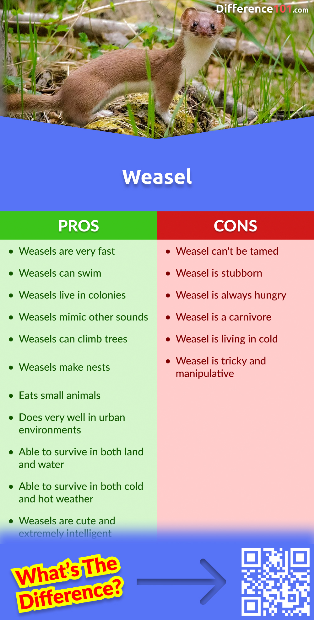 Weasel Pros & Cons
