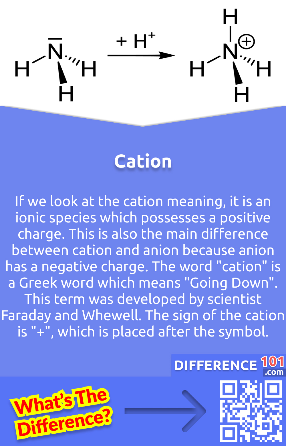 What Is a Cation? If we look at the cation meaning, it is an ionic species which possesses a positive charge. This is also the main difference between cation and anion because anion has a negative charge. The word "cation" is a Greek word which means "Going Down". This term was developed by scientist Faraday and Whewell. The sign of the cation is "+", which is placed after the symbol. For example, a potassium atom loses one electron and thus has a 1+ charge. This positive charge is due to the loss of electrons by an atom, as it gains the positive charge when there is more proton in the nucleus than electrons. There are many cations that we use in our daily lives as well. And some of them are very essential for our health, like sodium, iron, magnesium potassium. Which plays an important role in maintaining good health.