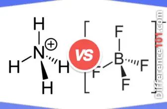Cation vs. Anion: 7 Key Differences, Pros & Cons, Examples