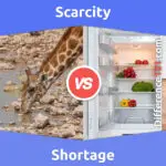 Scarcity vs. Shortage: 5 Key Differences, Pros & Cons, Examples