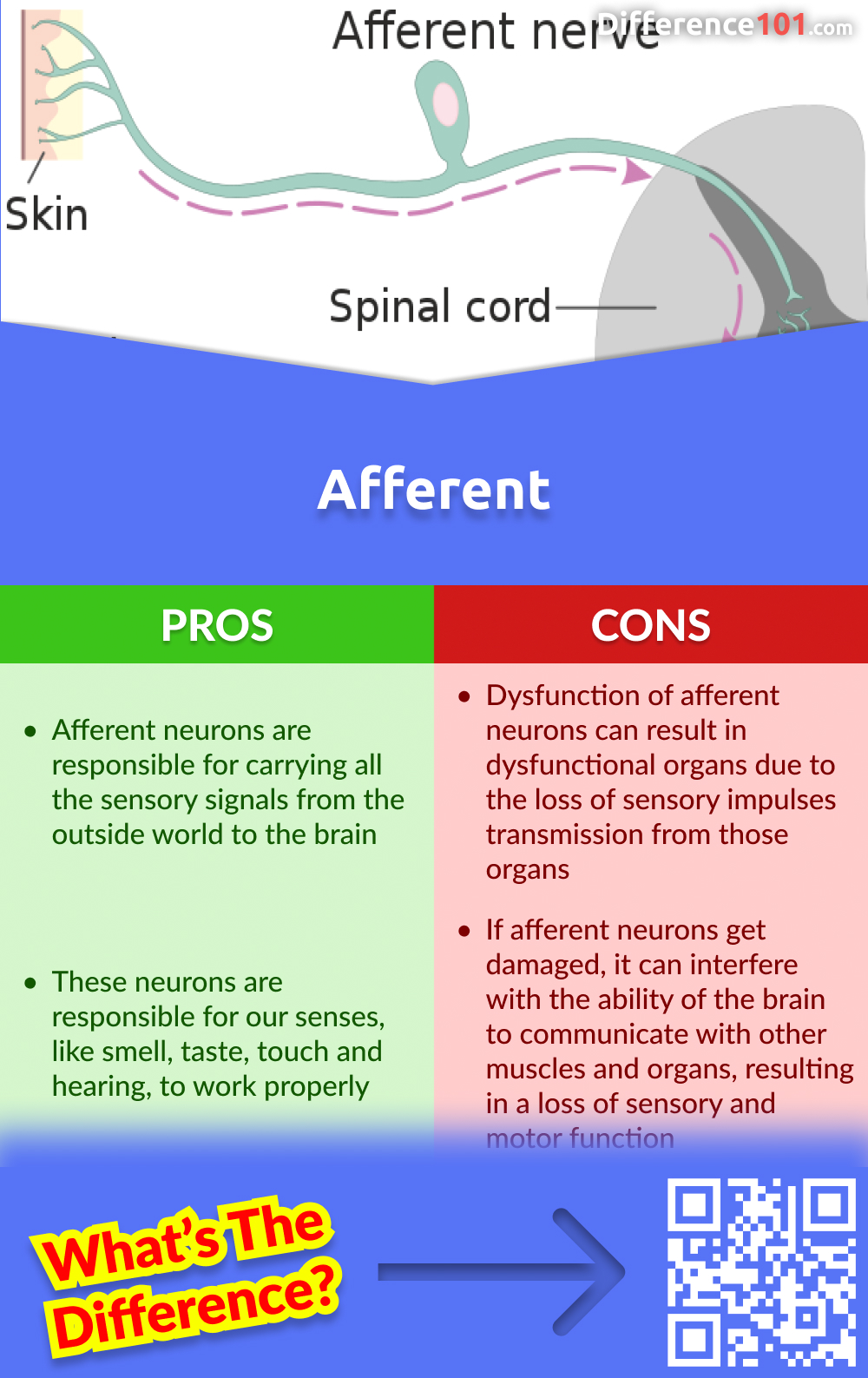 Afferent Pros and Cons
