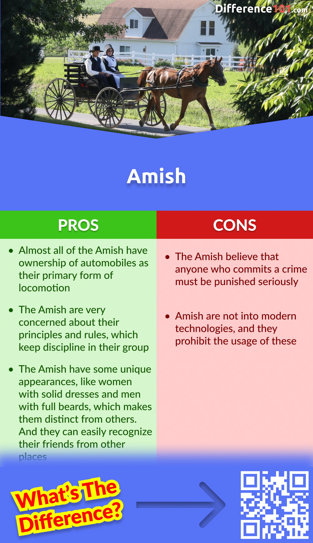 Amish Pros and Cons