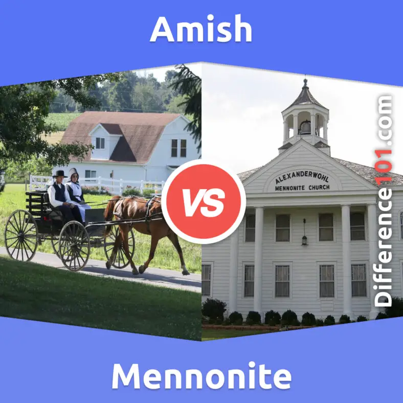 Amish Vs. Mennonite: 7 Key Differences, Pros & Cons, Similarities ...